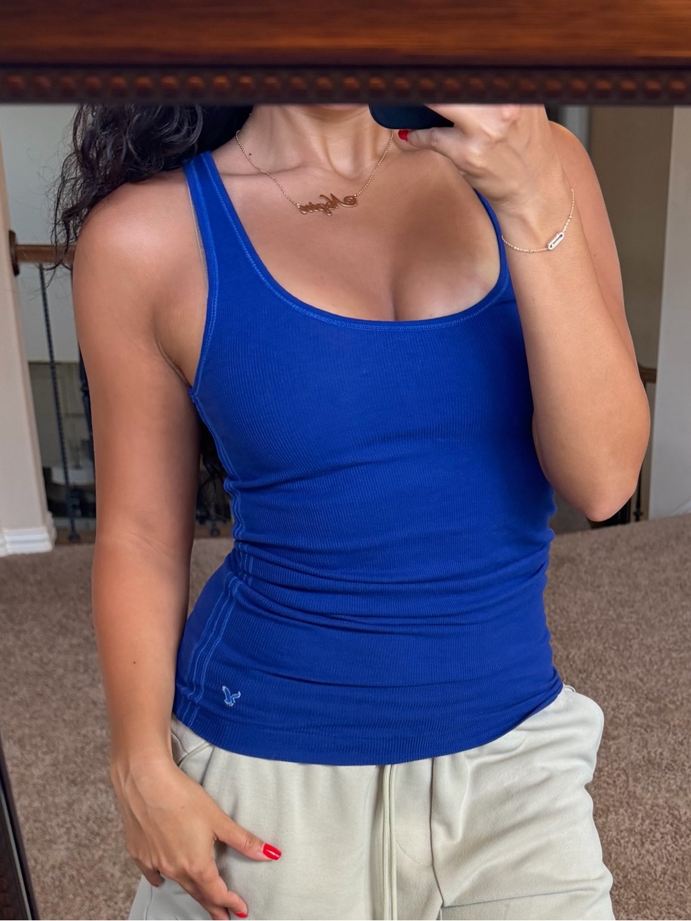 American Eagle Outfitters Royal Blue Ribbed Scoop Tank - Women